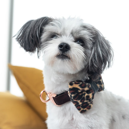 Leopard Dog Bow Tie With Leather Accent