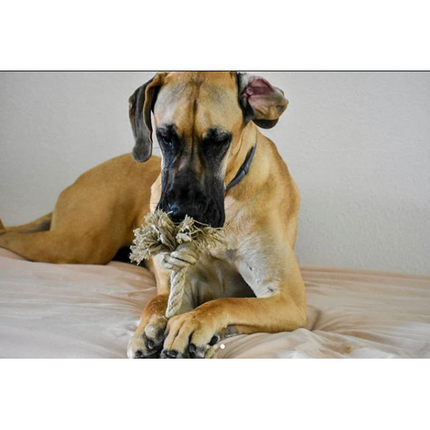 Double Knot Tug-a-Hemp Dog Rope Toy