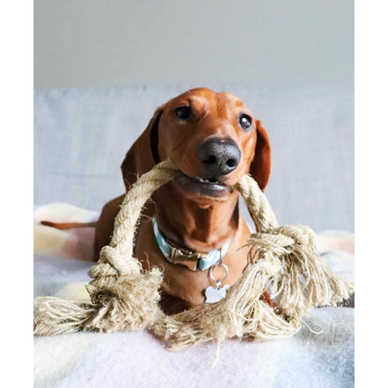 Double Knot Tug-a-Hemp Dog Rope Toy