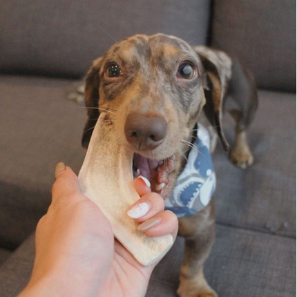 Organic Split Antler Dog Chew Toy