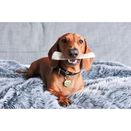 Organic Split Antler Dog Chew Toy