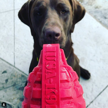 USA-K9 Grenade Durable Rubber Chew Toy & Treat Dispenser