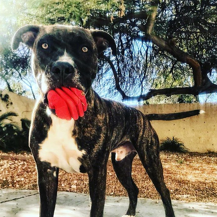 MKB Heart on a String Ultra-Durable Durable Rubber Chew Toy