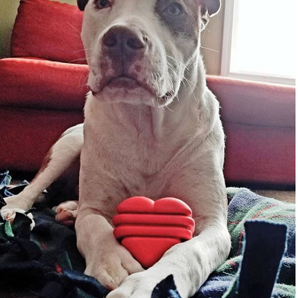 MKB Heart on a String Ultra-Durable Durable Rubber Chew Toy