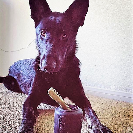 Magnum Can Toy Ultra Durable Rubber Chew Toy & Treat Dispenser