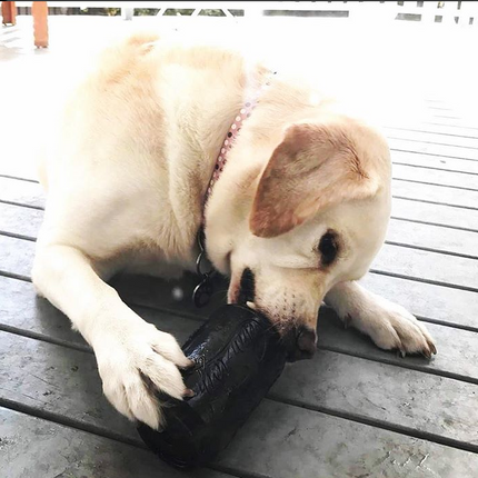 Magnum Can Toy Ultra Durable Rubber Chew Toy & Treat Dispenser