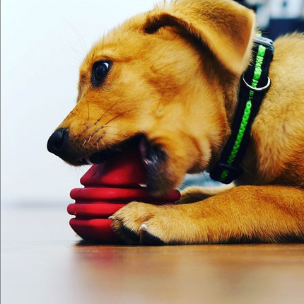 MKB Heart on a String Ultra-Durable Durable Rubber Chew Toy