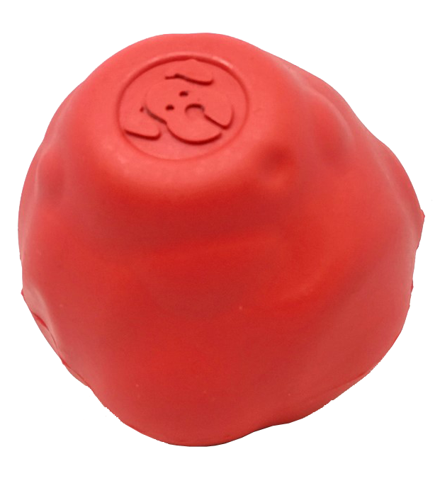 Asteroid Ultra Durable Rubber Chew Toy