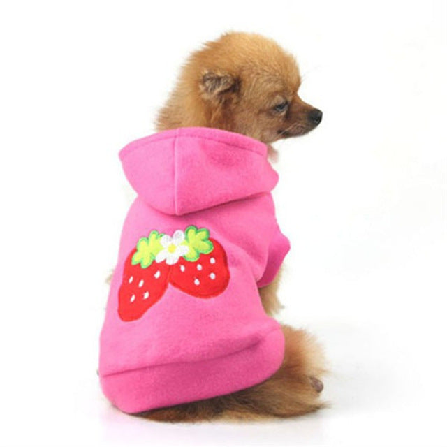 Small Dog Strawberry Hoodie