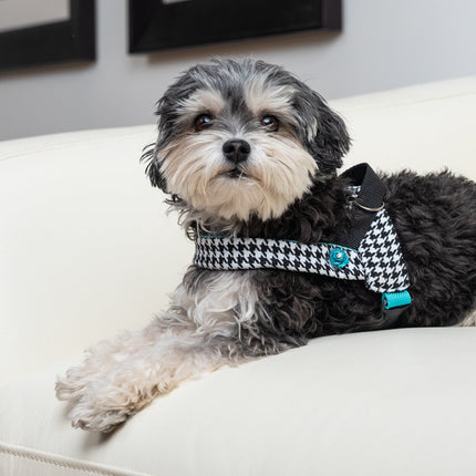 Kerberos Pied De Poule Dog Harness