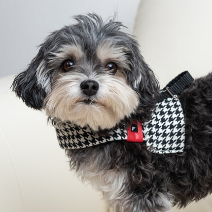 Xolotl Pied De Poule Dog Harness