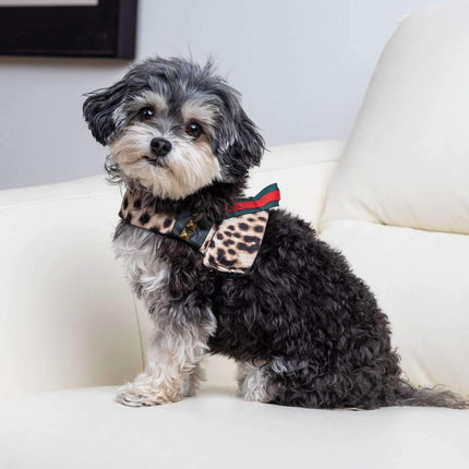 Anubis Leopard Print Dog Harness