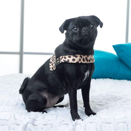 Anubis Leopard Print Dog Harness