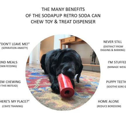 SP Retro Soda Can Durable Rubber Chew Toy & Treat Dispenser