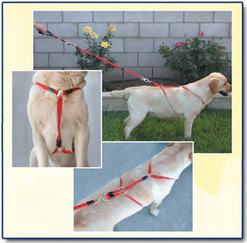 No Pull Training Harness