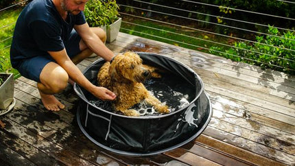 Popup Dog Pool & Bath - Medium