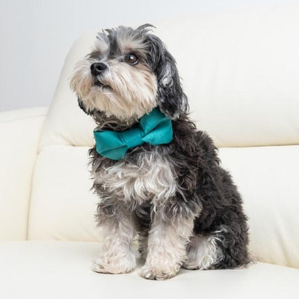 Satin Turquoise Circle Collar & Bow Tie Set
