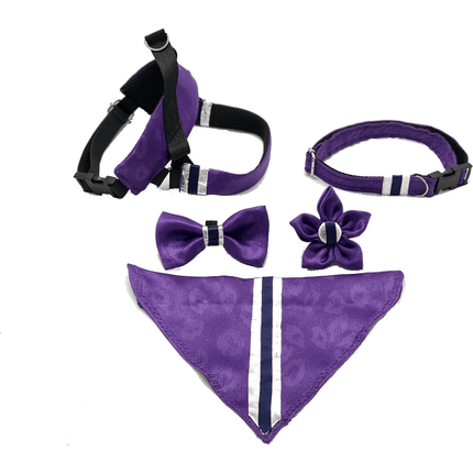 Fenrir Purple Leopard Leash