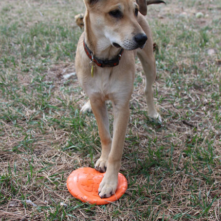 Bottle Top Flyer Durable Rubber Retrieving Frisbee