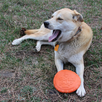 Bottle Top Flyer Durable Rubber Retrieving Frisbee
