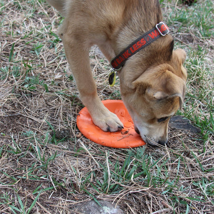 Bottle Top Flyer Durable Rubber Retrieving Frisbee