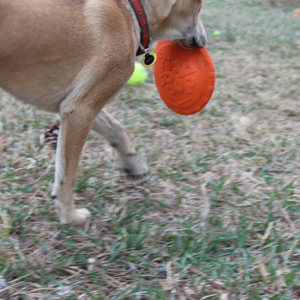 Bottle Top Flyer Durable Rubber Retrieving Frisbee