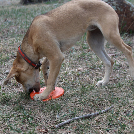 Bottle Top Flyer Durable Rubber Retrieving Frisbee