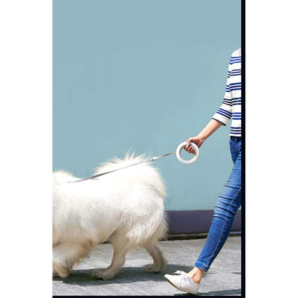Instachew petkit Smart Space Leash