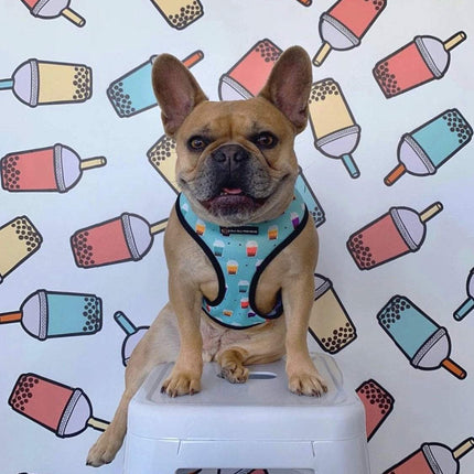 Oui Oui Frenchie Reversible Harness - Boba