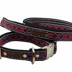 Collar & Lead Set Large (38-60cm)
