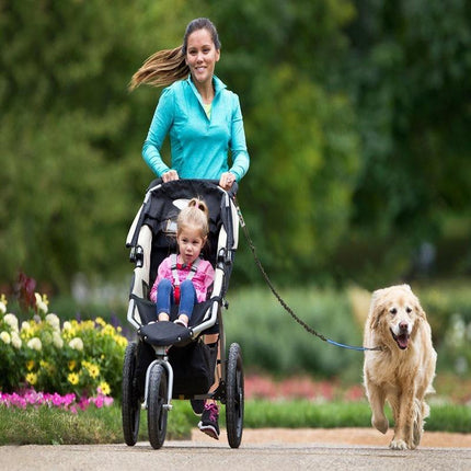 Dual Handle Hands Free Dog Leash