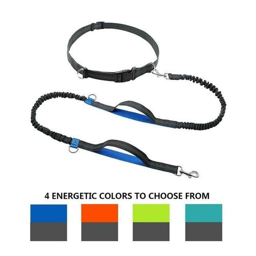 Dual Handle Hands Free Dog Leash