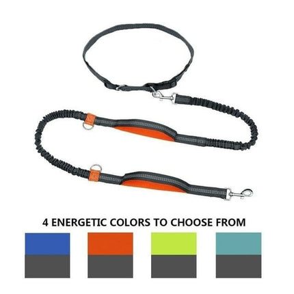 Dual Handle Hands Free Dog Leash