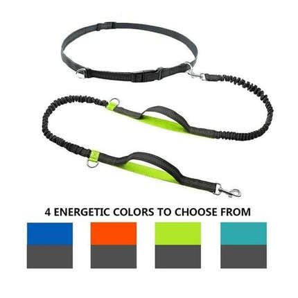 Dual Handle Hands Free Dog Leash