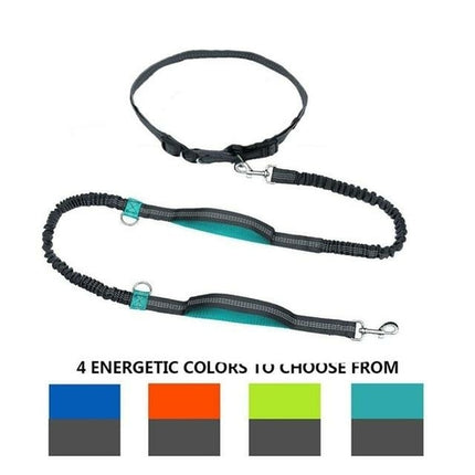 Dual Handle Hands Free Dog Leash