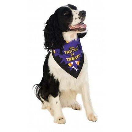 Trick or Treat Pet Bandana