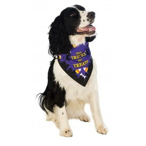 Trick or Treat Pet Bandana